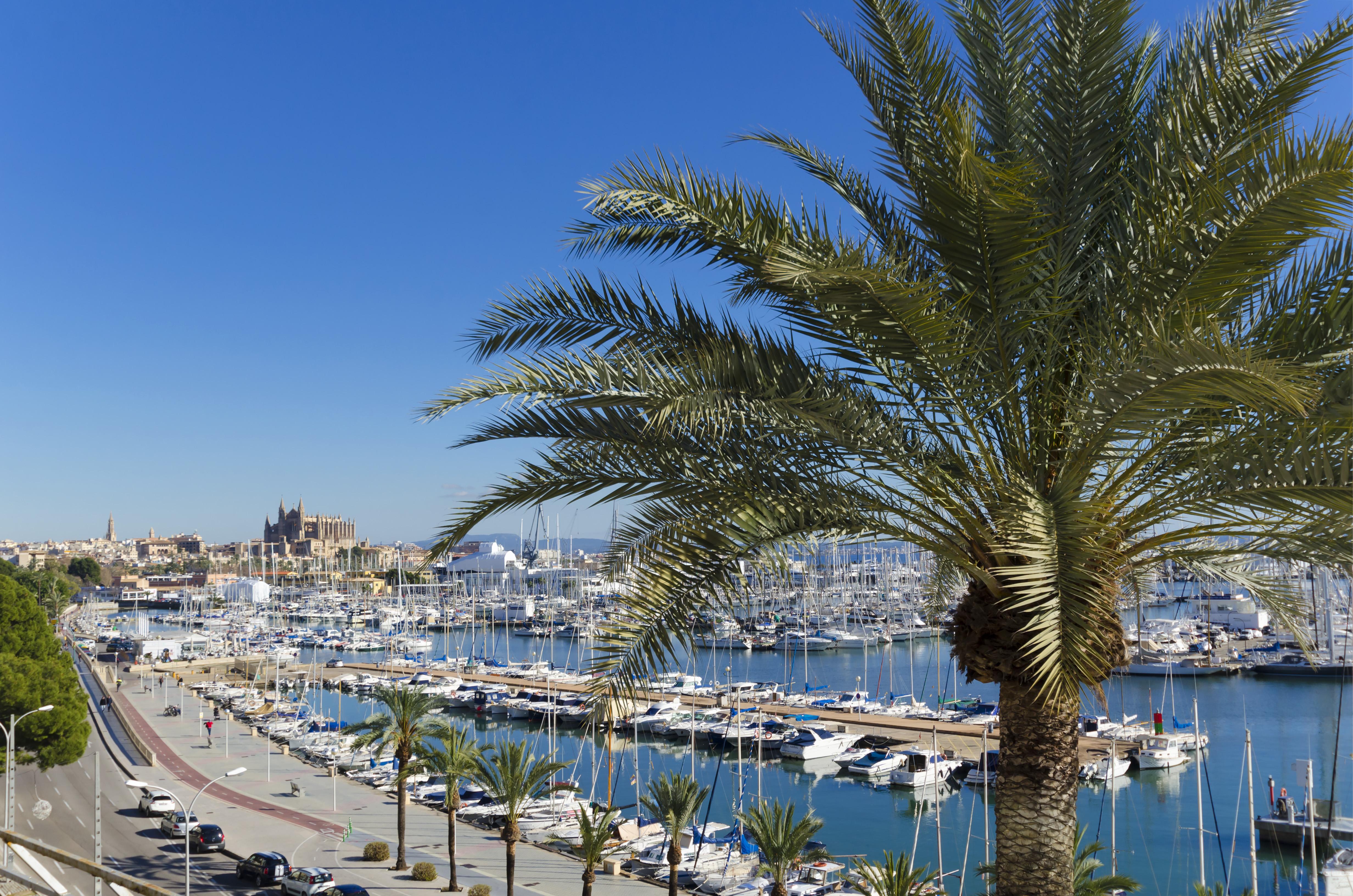 Hotel Mirador Palma de Mallorca Bagian luar foto